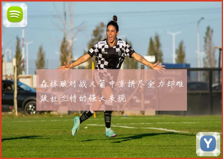 森林狼对战火箭申京拼尽全力却难敌杜兰特的强大表现