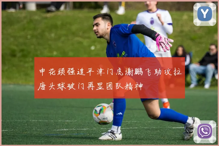 申花顽强追平津门虎谢鹏飞助攻拉唐头球破门再显团队精神