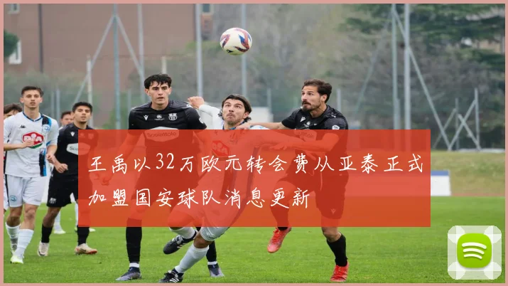 王禹以32万欧元转会费从亚泰正式加盟国安球队消息更新